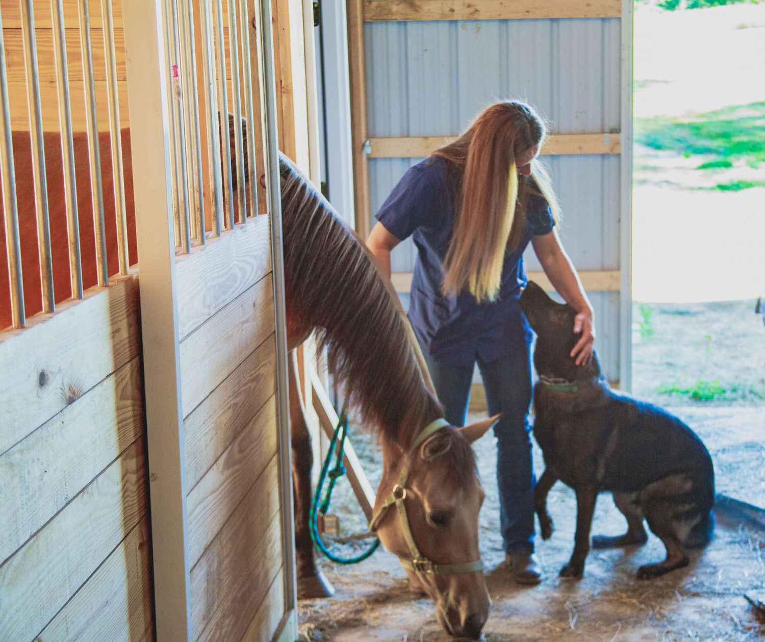 Staff with Horse and Dog