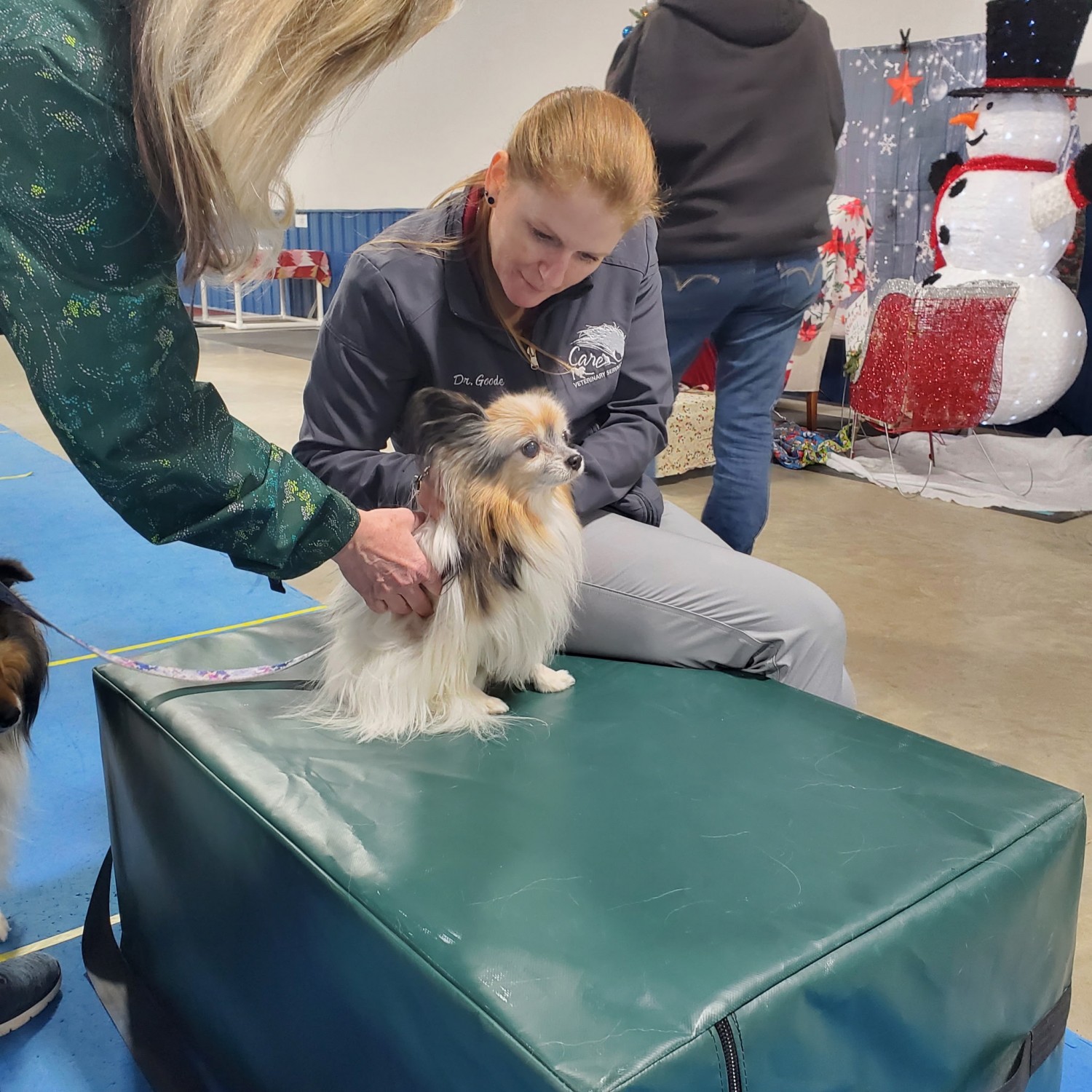 All Dogs Can Holiday Event 2025