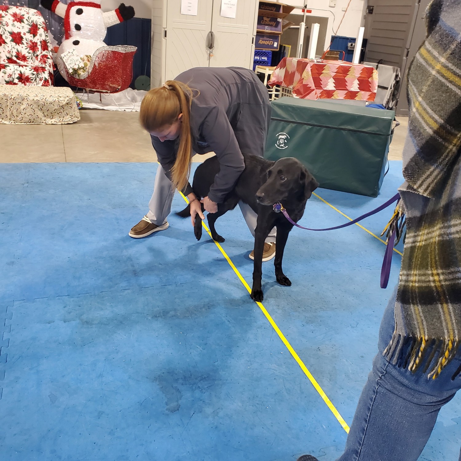 All Dogs Can Holiday Event 2025
