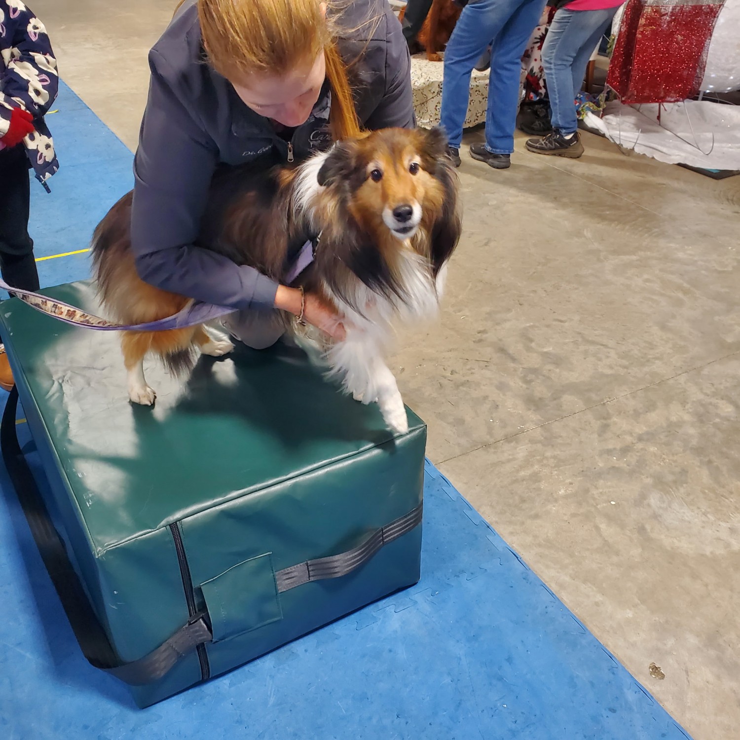 All Dogs Can Holiday Event 2025