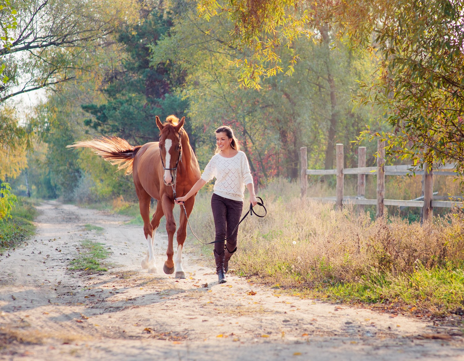 Person Walking Horse