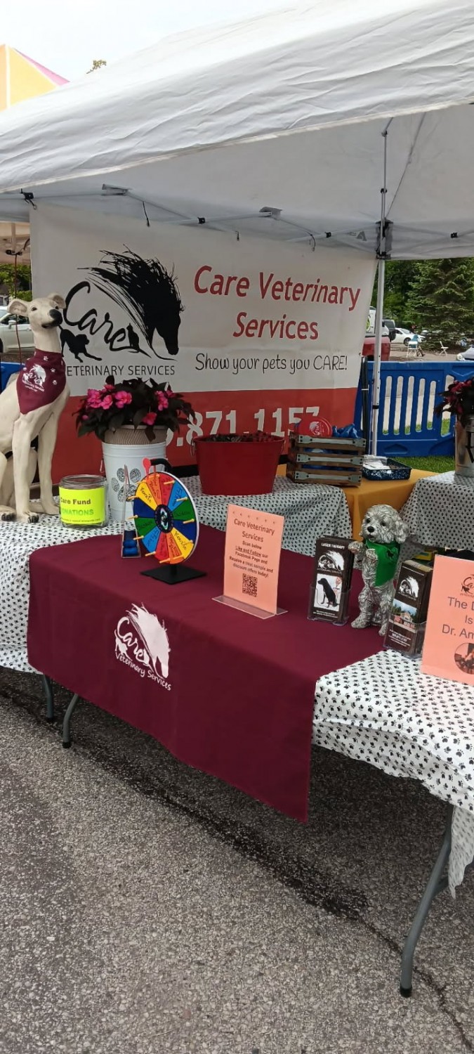 Dog Bowl - 8 - 2025