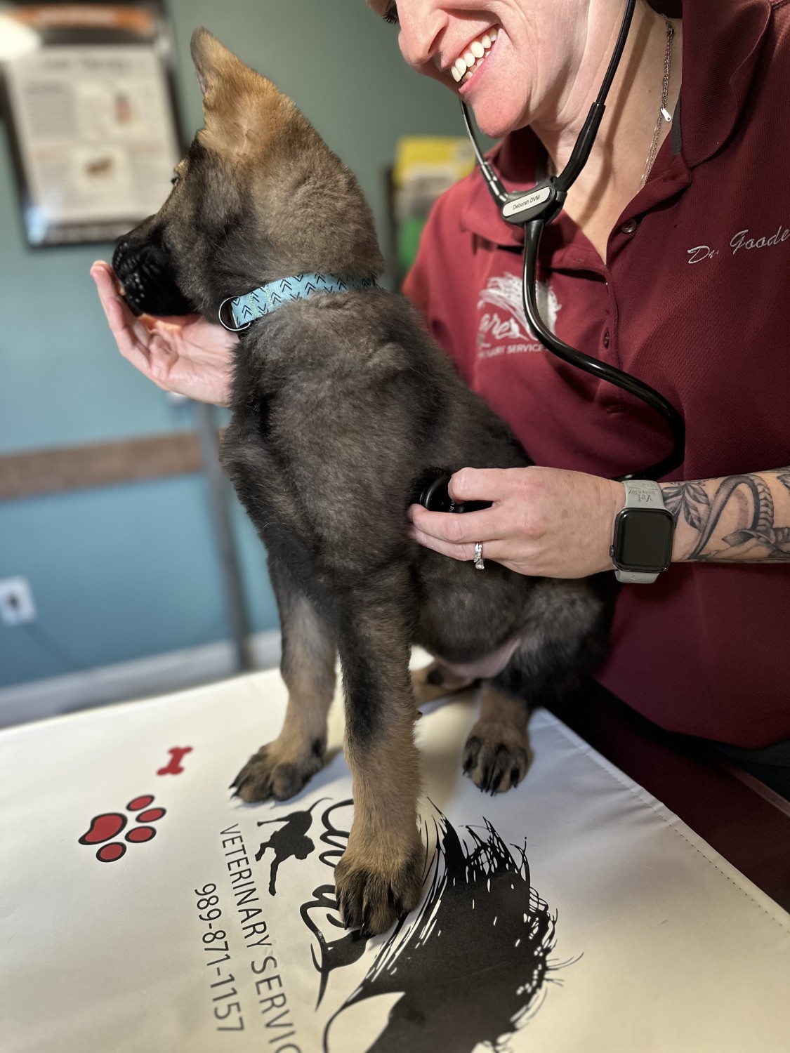 Preventative Care - Dr holding a cat