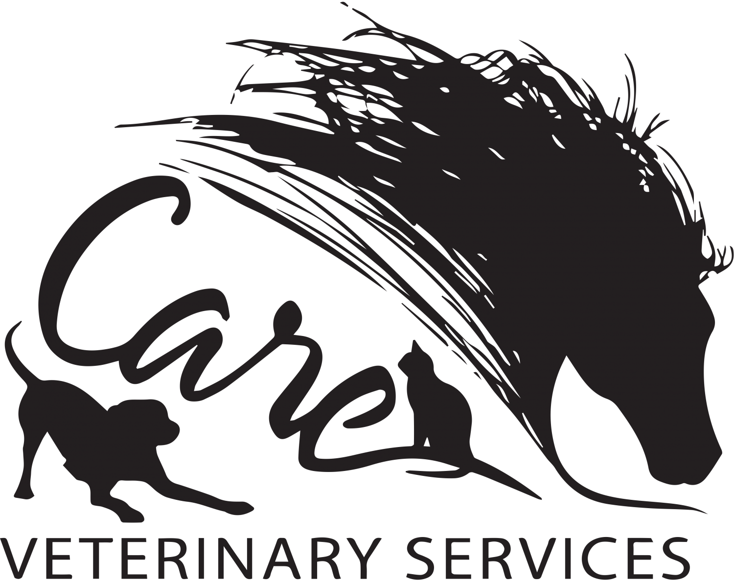 Care Veterinary Services Logo