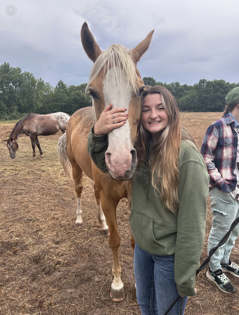 equine behavior training 2023