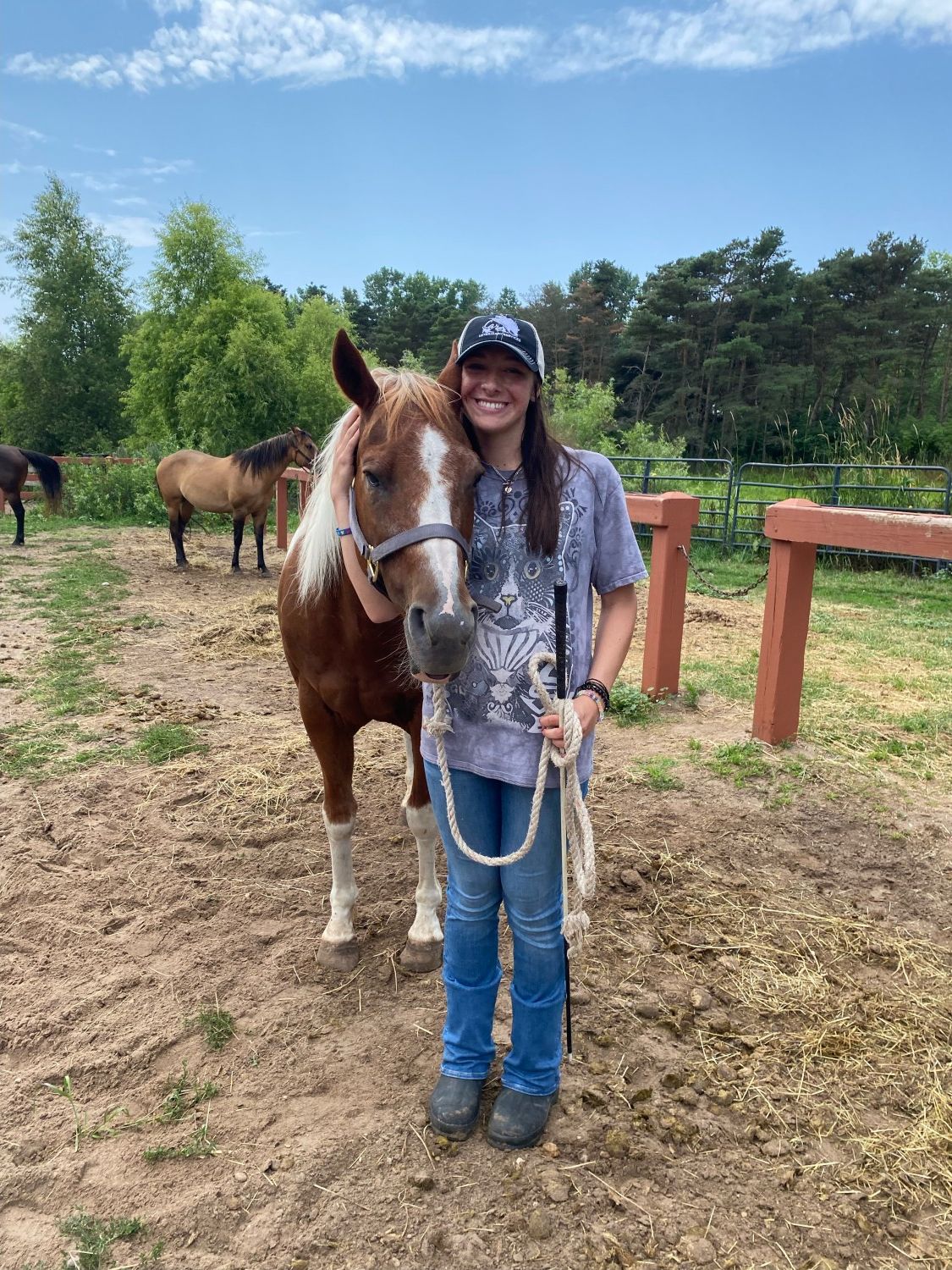 equine behavior training 2023