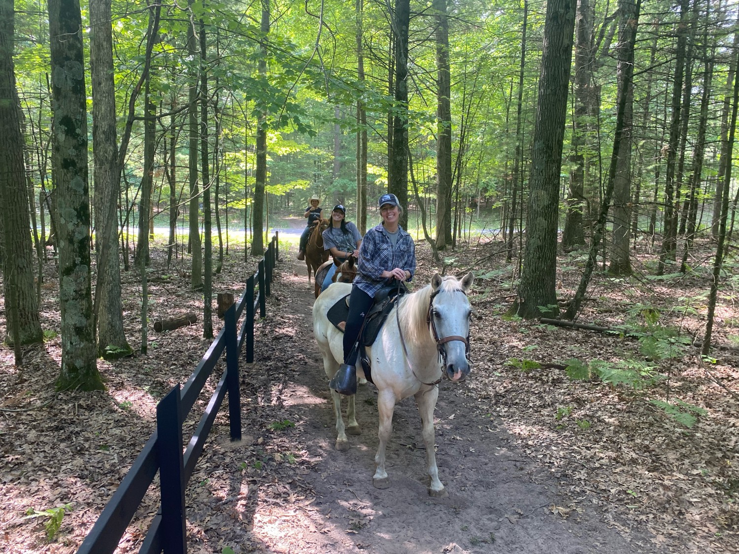 equine behavior training 2023