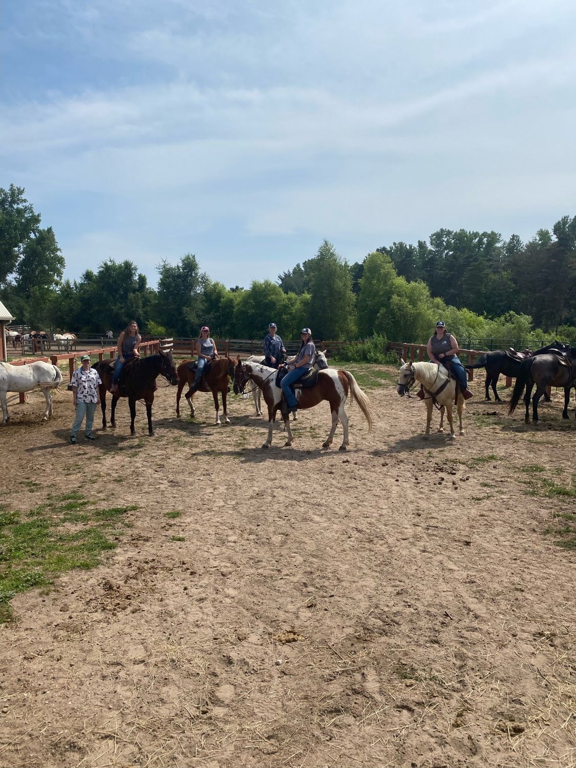 equine behavior training 2023